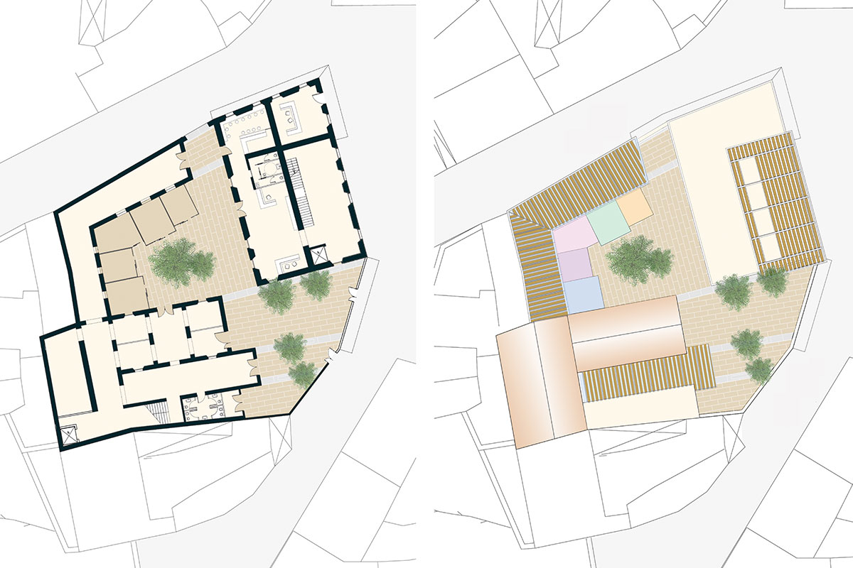 Architettura-per-la-cultura-Naragus-piante